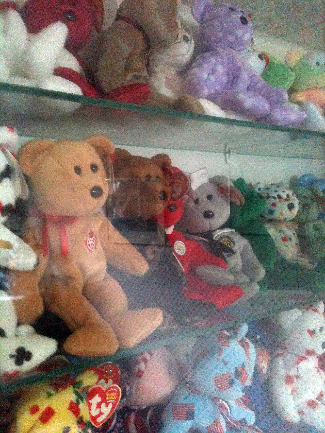 A glass display case filled with dozens of Ty Beanie Baby bears, each still wearing its heart-shaped tag
